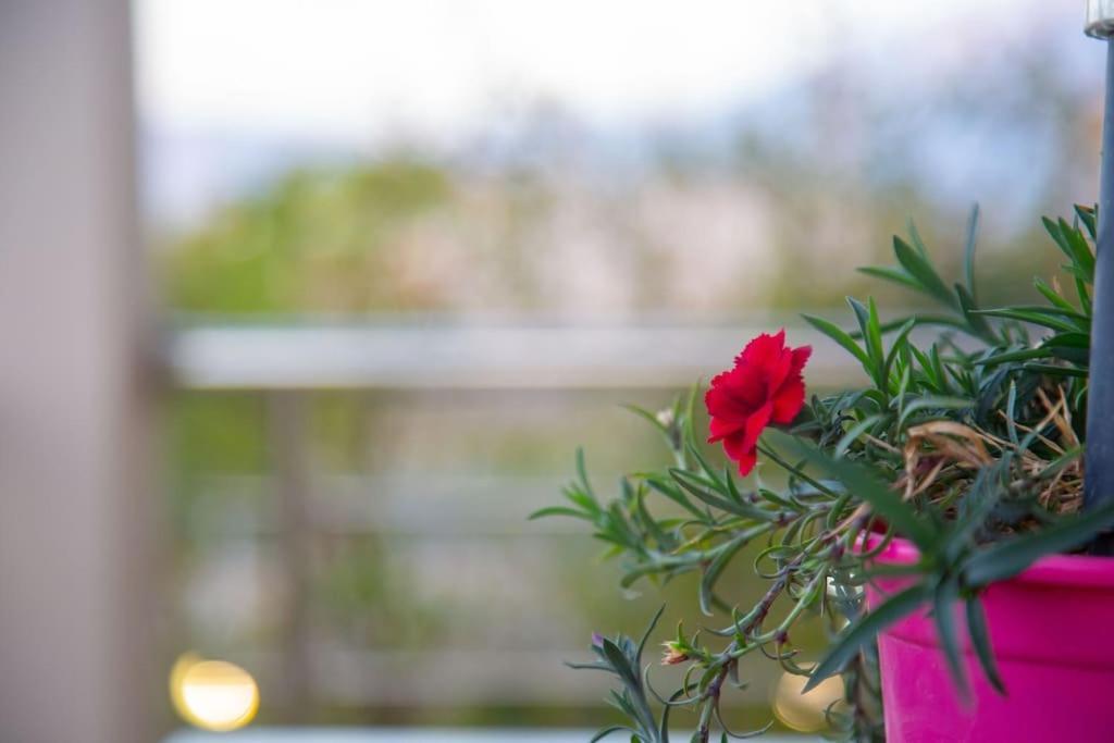 Fou'S Luxury Apartment Nafpaktos Ngoại thất bức ảnh